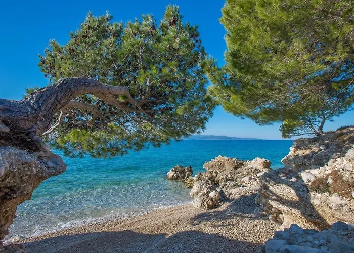 Centar Three Palms * Makarska